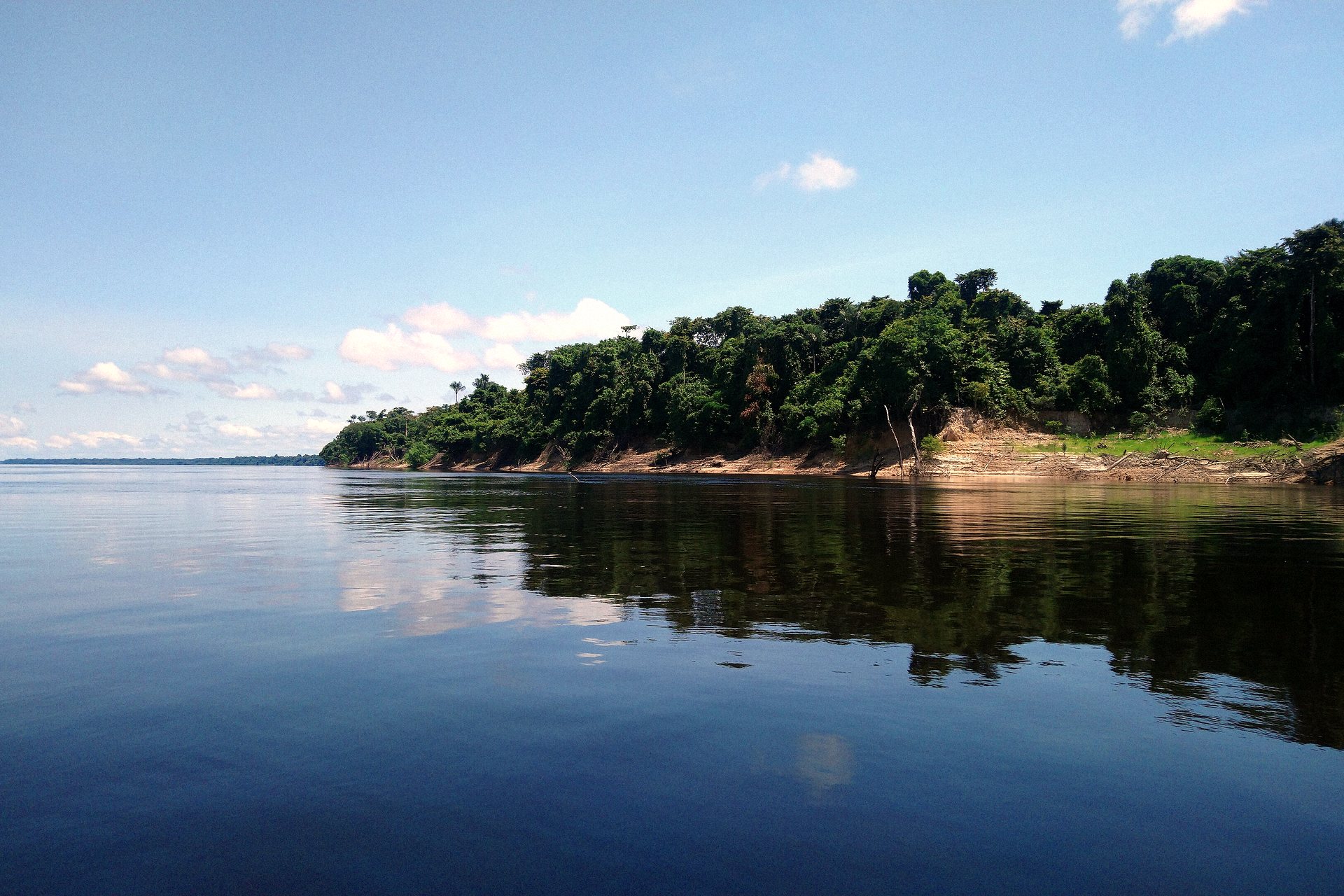 Margem de floresta refletida no Rio Negro, no arquipélago de Anavilhanas