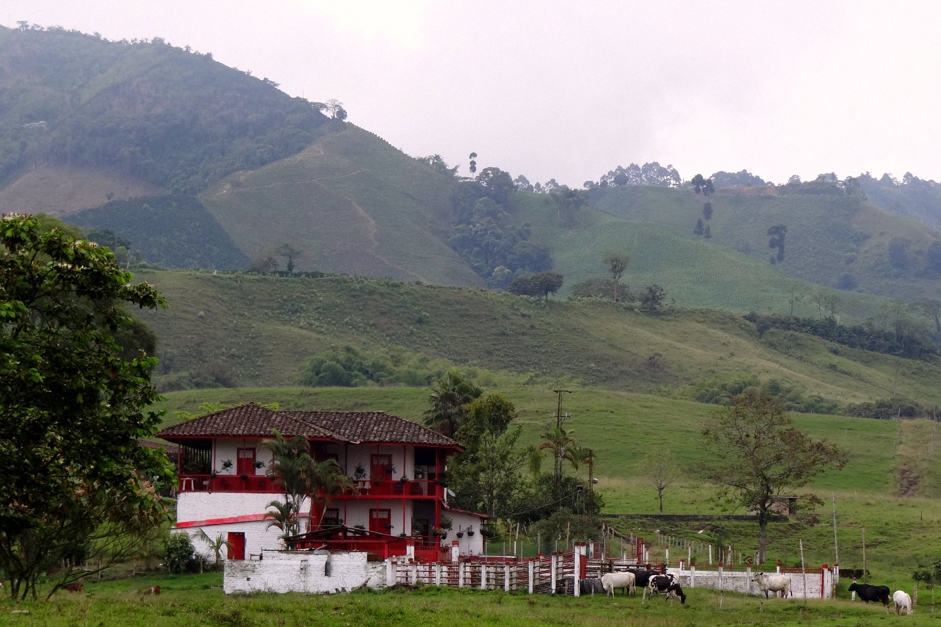 Casa rural de varandas vermelhas entre as colinas verdes do eixo cafeeiro