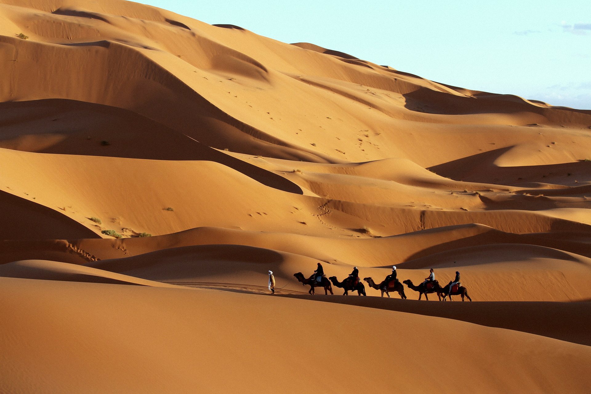 Caravana de camelos atravessando as dunas do Saara