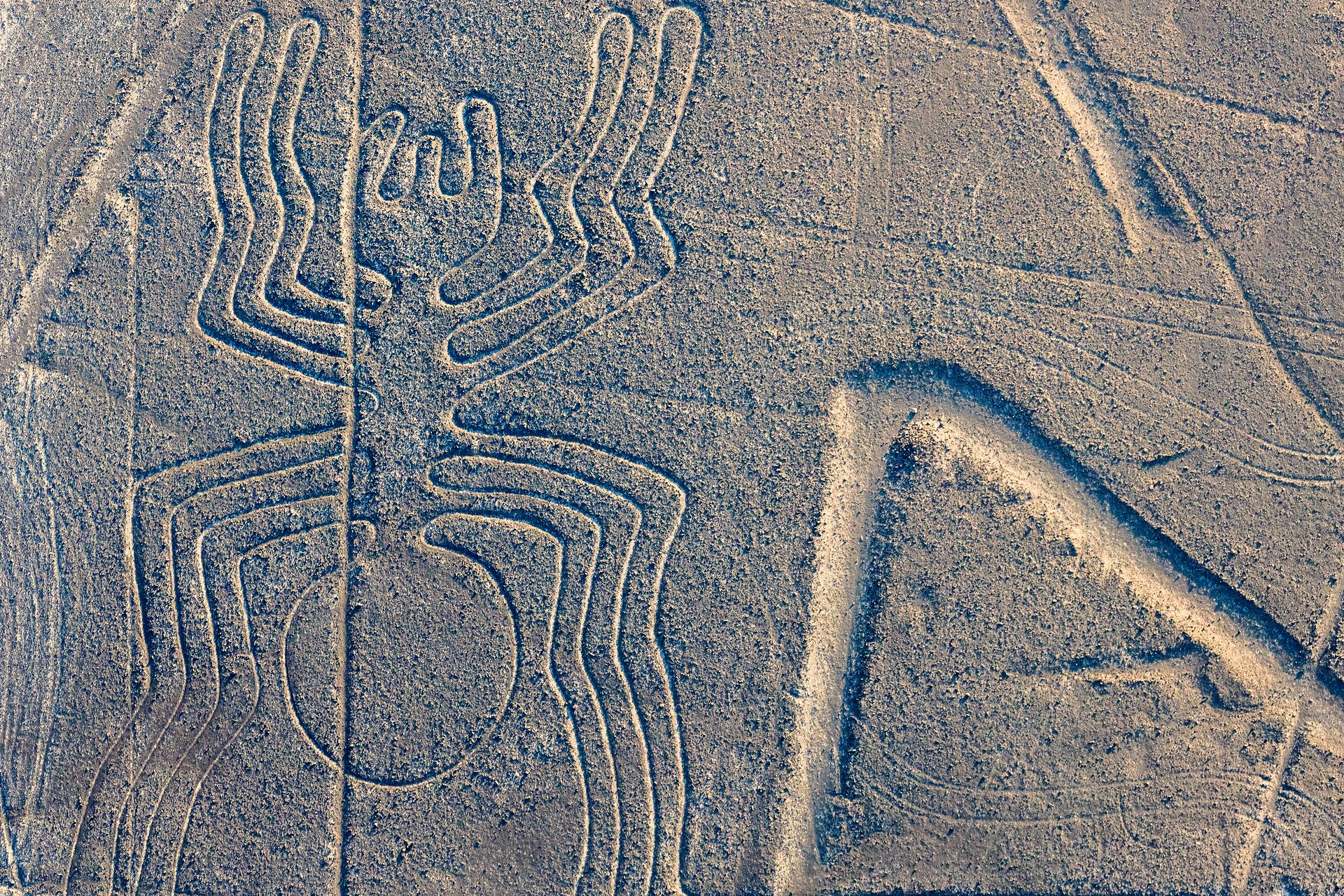 Geoglifo da aranha nas Linhas de Nazca, visto do alto